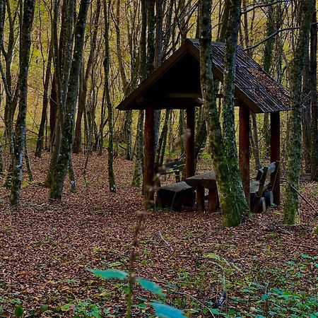 Domacinstvo Una-Ostrovica Kulen Vakuf Kültér fotó